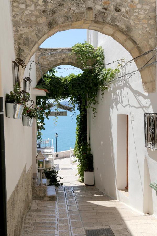 Piazzetta Petrone Apartments + Parking Vieste Zewnętrze zdjęcie